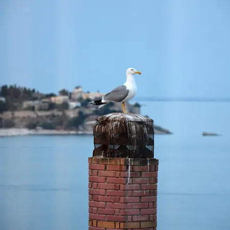 Mavili Luxury كافالا